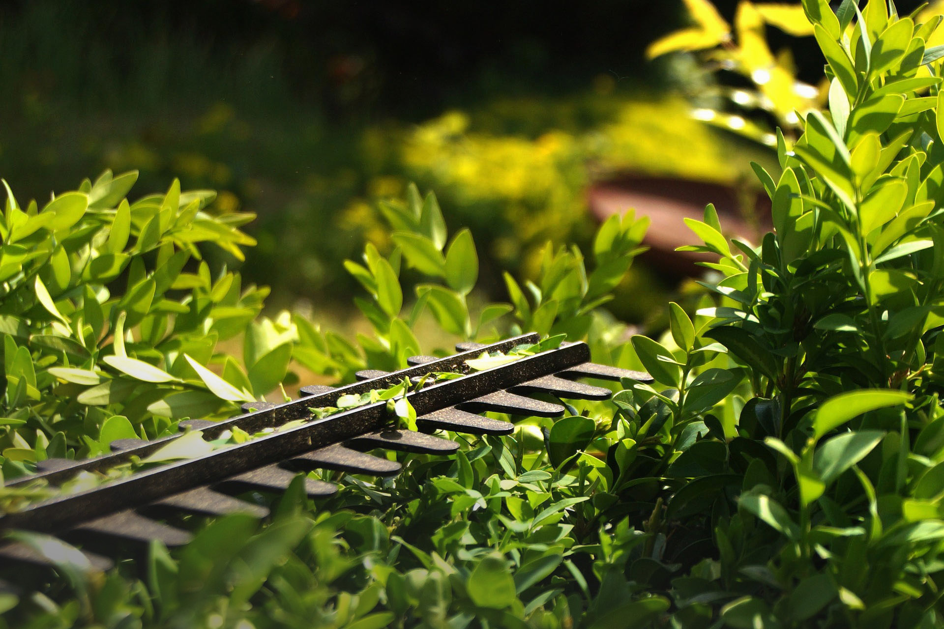 Grünpflege für Privat und Gewerbe